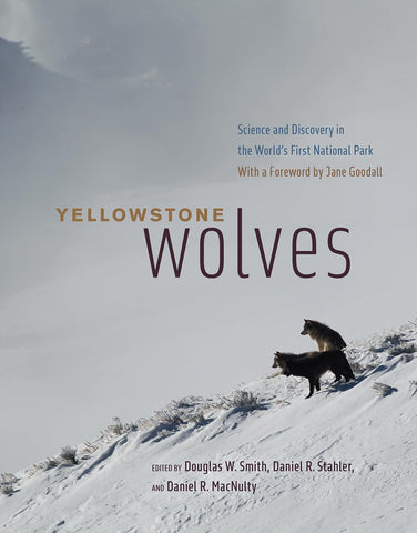 Yellowstone Wolves: Science and Discovery in the World's First National Park (Forward by Jane Goodall)