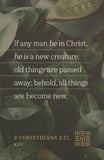 Every Woman's Scripture Prayer Cards (Softcover): Featuring the King James Version