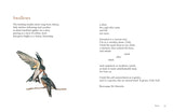 Windfall: Irish Nature Poems to Inspire and Connect by Jane Clarke