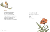 Windfall: Irish Nature Poems to Inspire and Connect by Jane Clarke