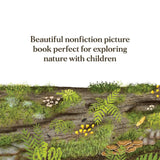 When a Tree Falls: Nurse Logs and Their Incredible Forest Power by Kristen Pendreigh