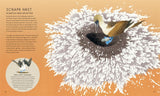 The Secret World of Bird Nests (Secret World #2) by Lucy Menzies