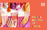 The Sock Project: Colorful, Cool Socks to Knit and Show Off by Summer Lee