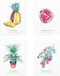 Gardener's Match: A Fruit and Vegetable Memory Game by Abigail Willis