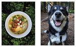The Great Outdoors Cookbook: Over 100 Recipes for the Campground, Trail, or RV by Melanie Jenkinson
