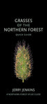 Grasses of the Northern Forest: Quick Guide by Jerry Jenkins