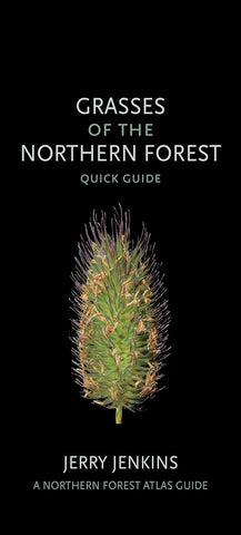 Grasses of the Northern Forest: Quick Guide by Jerry Jenkins