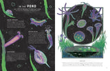 Micro: The Wild Wonders of Microscopic Life (Wild Wonders #4) by Jennifer N. R. Smith
