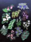 Solomon's Seal Sticker