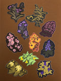 Pale Jewelweed Sticker