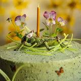 Cricket Cake Topper