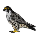 Peregrine Falcon Patch
