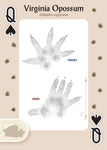 Animal Tracks of the Midwest Playing Cards