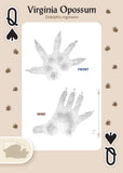Animal Tracks of the Midwest Playing Cards