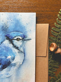 Blue Jay Watercolor A7 Greeting Card