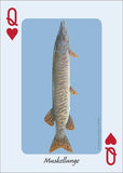 Fish of the Midwest Playing Cards (Nature's Wild Cards)