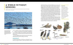 National Geographic Birding Basics: Tips, Tools, and Techniques for Great Bird-Watching by Noah Strycker