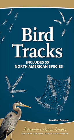Bird Tracks: Includes 55 North America Species (Adventure Quick Guides)