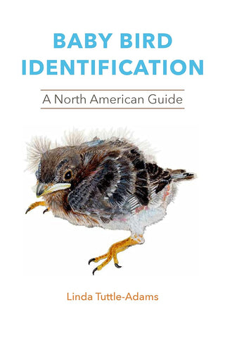 Baby Bird Identification by Linda Tuttle-Adams