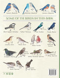 Hosting Bluebirds Guide and Coloring Book by Katherine Martin
