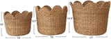 Braided Bankuan & Rattan Baskets w/ Scalloped Edge, Set of 3