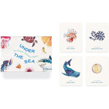 Under the Sea: An Ocean Memory Game by Mike Unwin