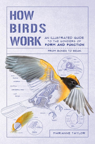 How Birds Work: An Illustrated Guide to the Wonders of Form and Function - From Bones to Beak (How Nature Works) by Marianne Taylor