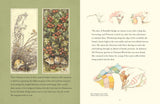 A Visit to Brambly Hedge: Imagining the World Within the Hedgerow by Jill Barklem & Jane Fior