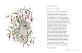 Windfall: Irish Nature Poems to Inspire and Connect by Jane Clarke