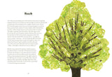 Tree Lore: The Myths, Folklore and Meaning of Trees by Sally Coulthard