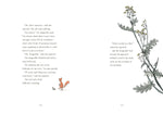 The Squirrel's Birthday and Other Parties by Toon Tellegen