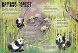 Our Forests (Our Wonders #2) by Yuval Zommer