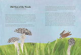 Fungi Lore: The Myths, Folklore and Magic of Mushrooms