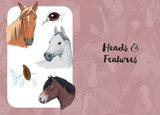 Horses & Ponies: Draw Over 50 Horses and Ponies in 10 Easy Steps (10 Step Drawing) by Justine Lecouffe