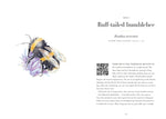 A Year of Garden Bees & Bugs: 52 Stories of Intriguing Insects by Dominic Couzens & Gail Ashton