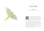 A Year of Garden Bees & Bugs: 52 Stories of Intriguing Insects by Dominic Couzens & Gail Ashton