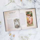 The Story of Perfume: A Lavishly Illustrated Guide by Elizabeth De Feydeau