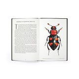 The Wonder of Insects: Uncovering Their Hidden World by Dr. Ross Piper