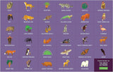 Great Outdoors 64 Piece Search and Find Puzzle