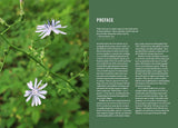 Wildflowers of the Midwest (Timber Press Field Guide) by Micheal Homoya & Scott Namestnik
