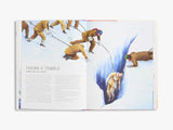 Race to the South Pole: A Two--Sided Story by Alexandra Stewart