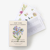 New York Botanical Garden Wildflower Identification Flashcards: 100 Common Wildflowers of North America (New York Botanical Garden)