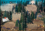 Our Forests (Our Wonders #2) by Yuval Zommer