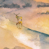 Hinds' Feet on High Places: An Engaging Visual Journey by Hannah Hurnard, Jill de Hann & Rachel McNaughton