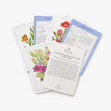 New York Botanical Garden Wildflower Identification Flashcards: 100 Common Wildflowers of North America (New York Botanical Garden)