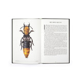The Wonder of Insects: Uncovering Their Hidden World by Dr. Ross Piper