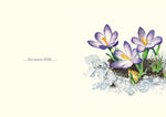 A Blessing for Spring's Child by Peter Hinckley