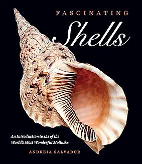 Fascinating Shells: An Introduction to 121 of the World's Most Wonderful Mollusks (1ST ed.) by  Salvador, Andreia