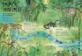 Our Forests (Our Wonders #2) by Yuval Zommer