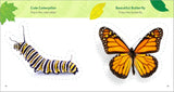 The Backyard Bug Book for Kids: Storybook, Insect Facts, and Activities (Little Scientists Learn) by Lauren Davidson